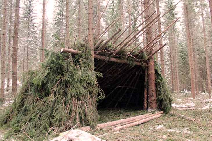 Wilderness Surviva Skills - Building Shelter